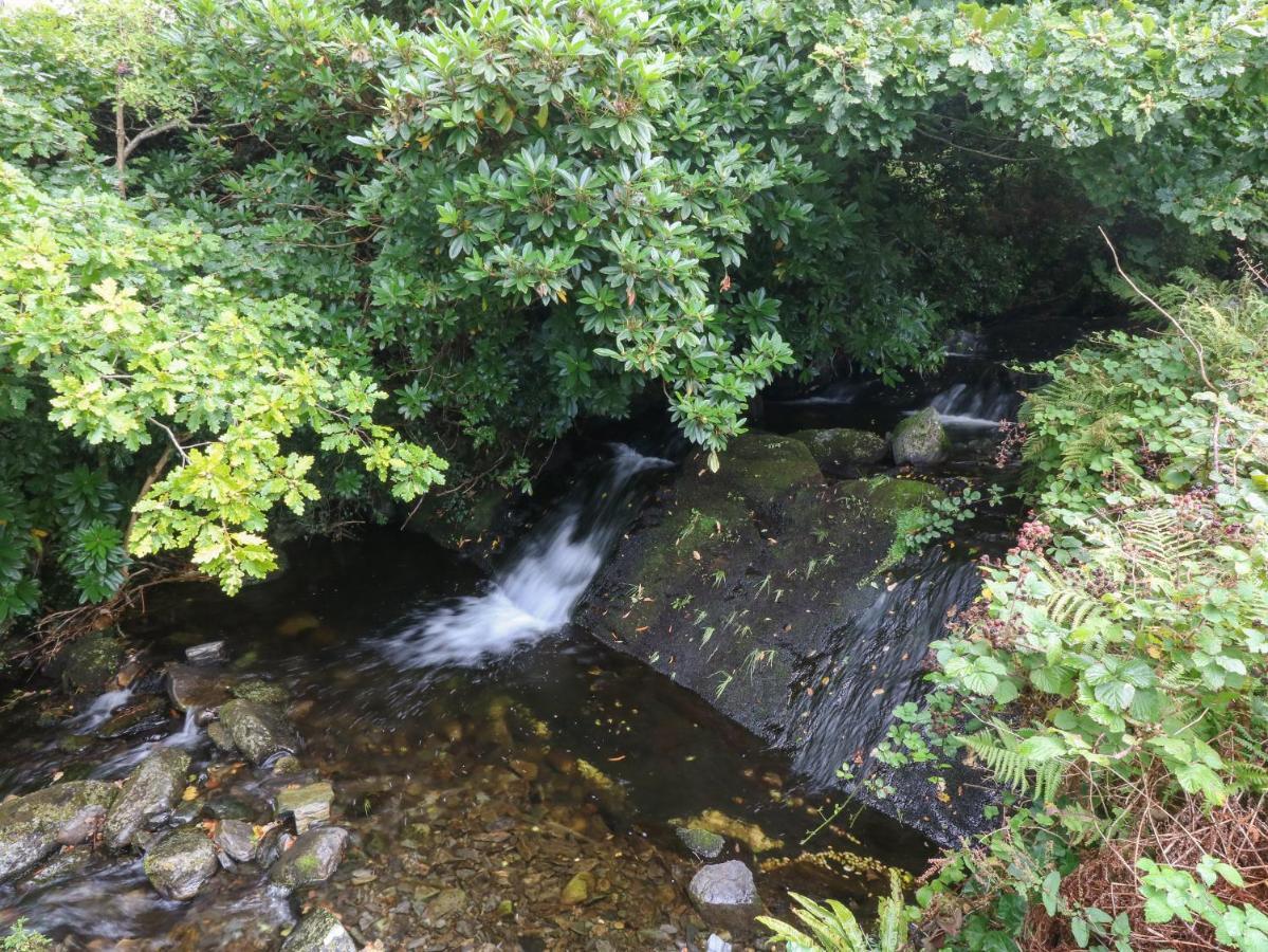 Tyn Llwyn Villa Talsarnau Bagian luar foto